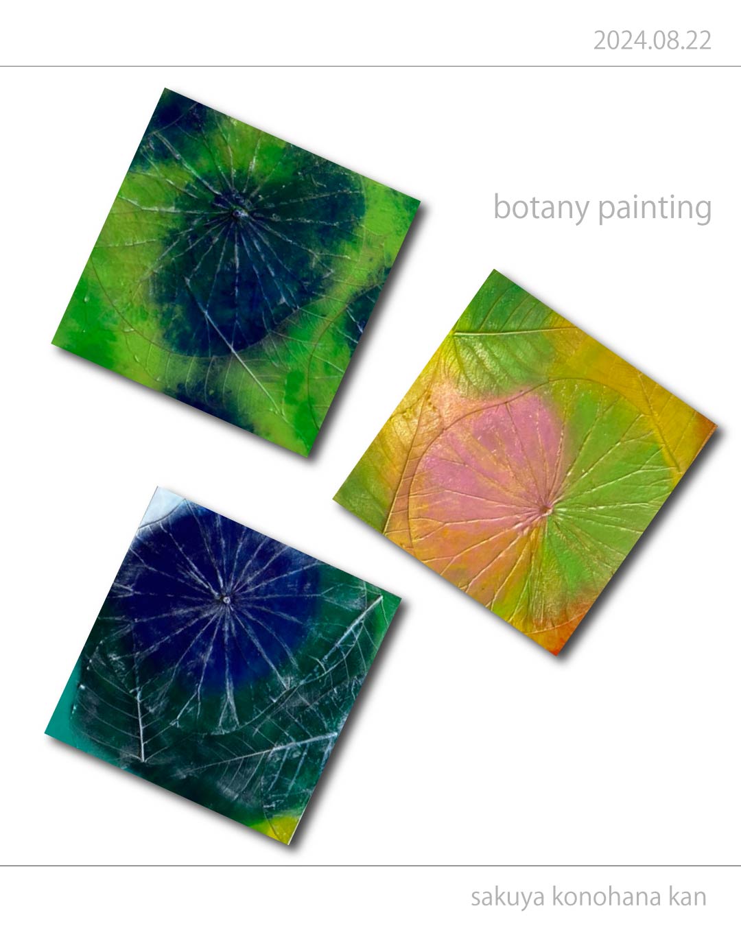 植物を使ったアート】ボタニーペインティングやり方・手順や材料などを